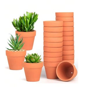 Puede incluir: Una colección de macetas de terracota de color naranja-marrón claro. Tres macetas contienen plantas suculentas verdes, mientras que una gran pila de macetas vacías se encuentra a la derecha, acompañada de una maceta vacía en primer plano.