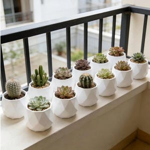 May include: A collection of twelve small potted plants, including various cacti and succulents, each housed in a white geometric ceramic planter with a faceted surface, arranged in rows on a ledge against a black metal balcony railing.