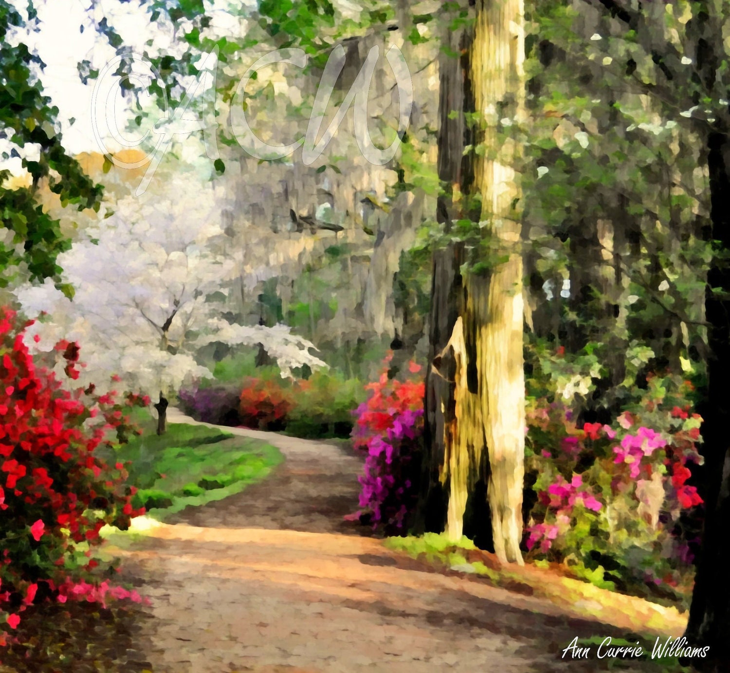 Garden Path In Full Bloom In Edisto Memorial Gardens