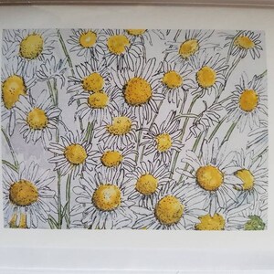 Cartões de flores, cartões de felicitações, cartões de aquarela, cartões feitos à mão, cartões com pequenas margaridas e cartões em branco.