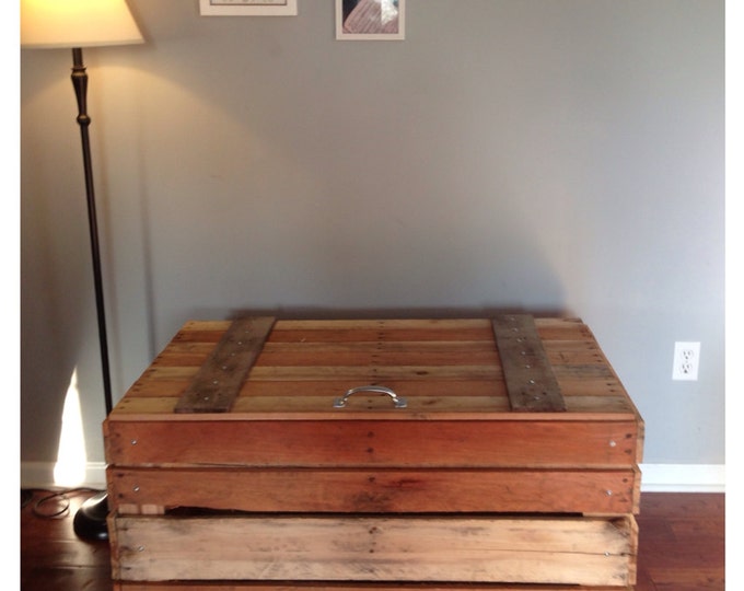Storage Tack Trunk Made With Repurposed Pallet Boards, Hinged in Back ...
