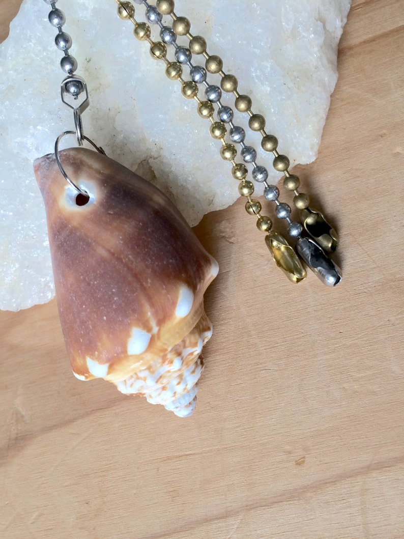 Sea shell light pull ceiling fan pull decorative ball chain | Etsy