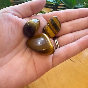 Tigers Eye Tumble (3)