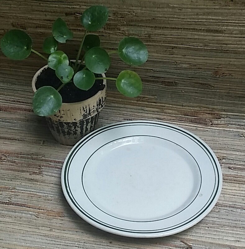 Green Stripe Plate The Trenle Blake China Co Ravenswood W. VA