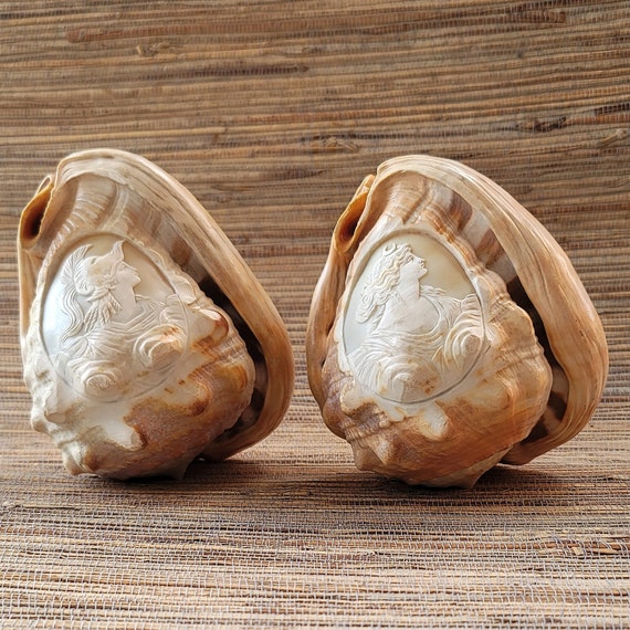 Antique Hand Carved Helmet or Bull's Mouth Conch Shell Carvings Cameos of Artemis or Diana Greek Goddess Price is Per Shell