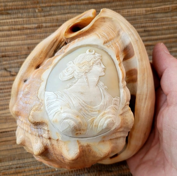 Antique Hand Carved Helmet or Bull's Mouth Conch Shell Carvings Cameos of Artemis or Diana Greek Goddess Price is Per Shell