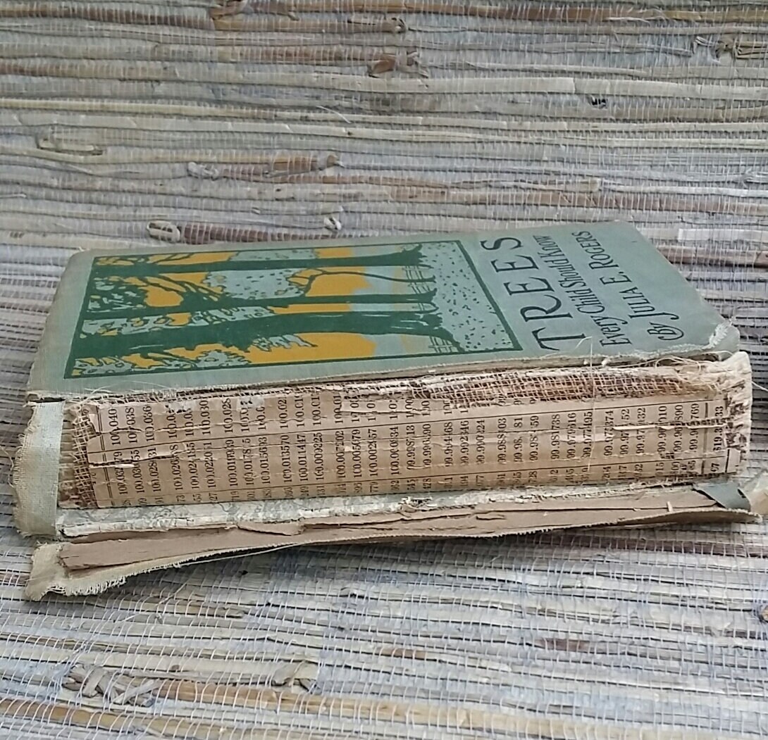 Vintage Book Stack Trees Every Child Should Know Let's Find Out Old