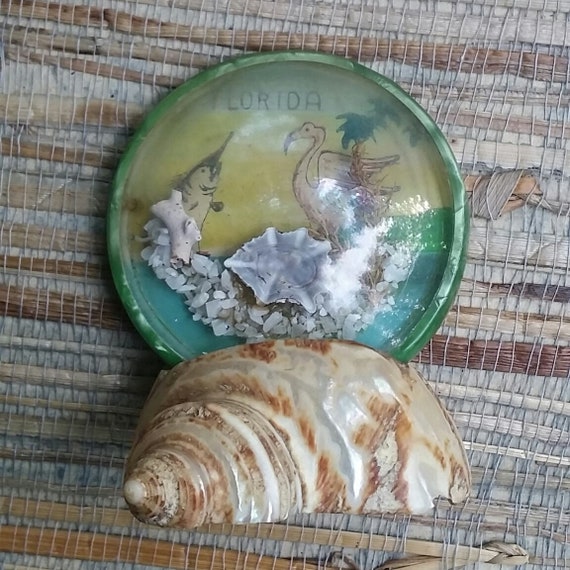 Vintage Bakelite and Seashell Florida Souvenir Retro Kitsch Beach Vacation Made In Japan