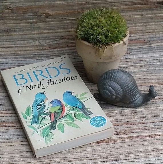 Vintage Books Redoneandvintage