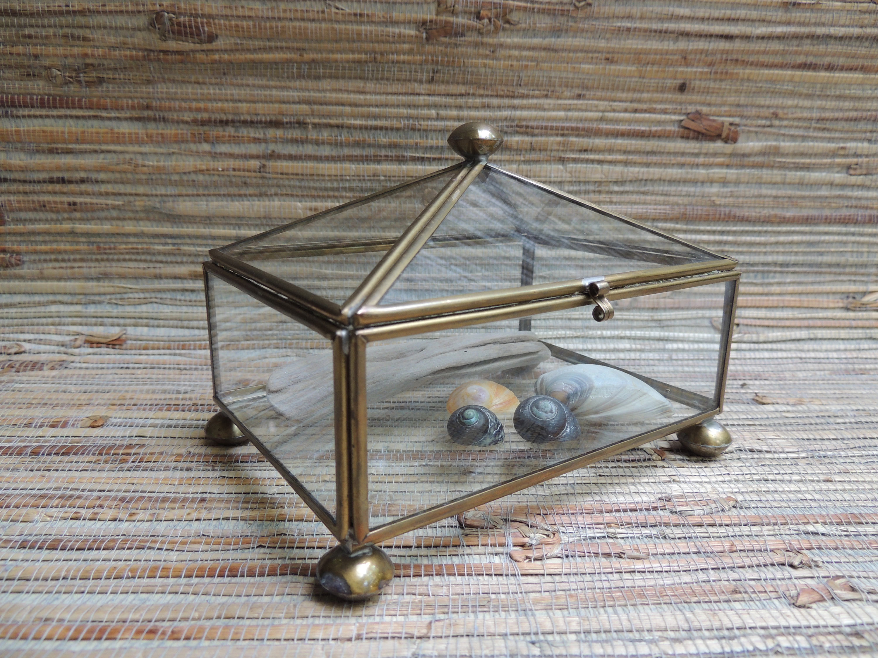 Vintage Glass & Brass Rectangular Display Box Curiosity Case