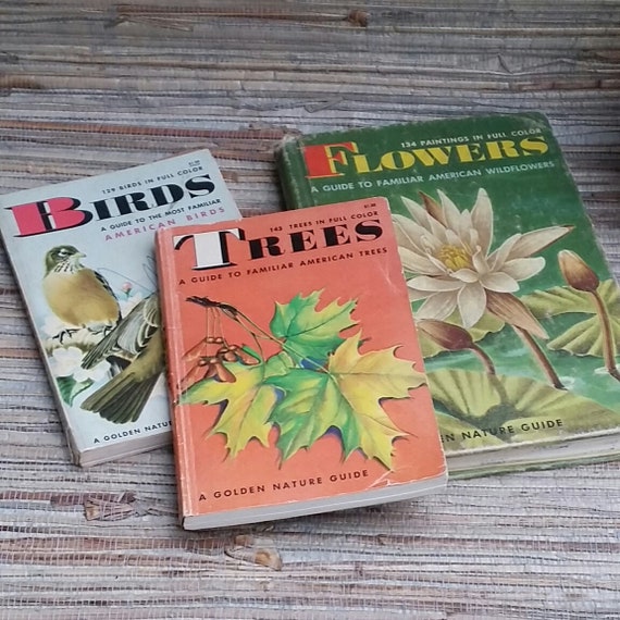 Vintage Books Redoneandvintage