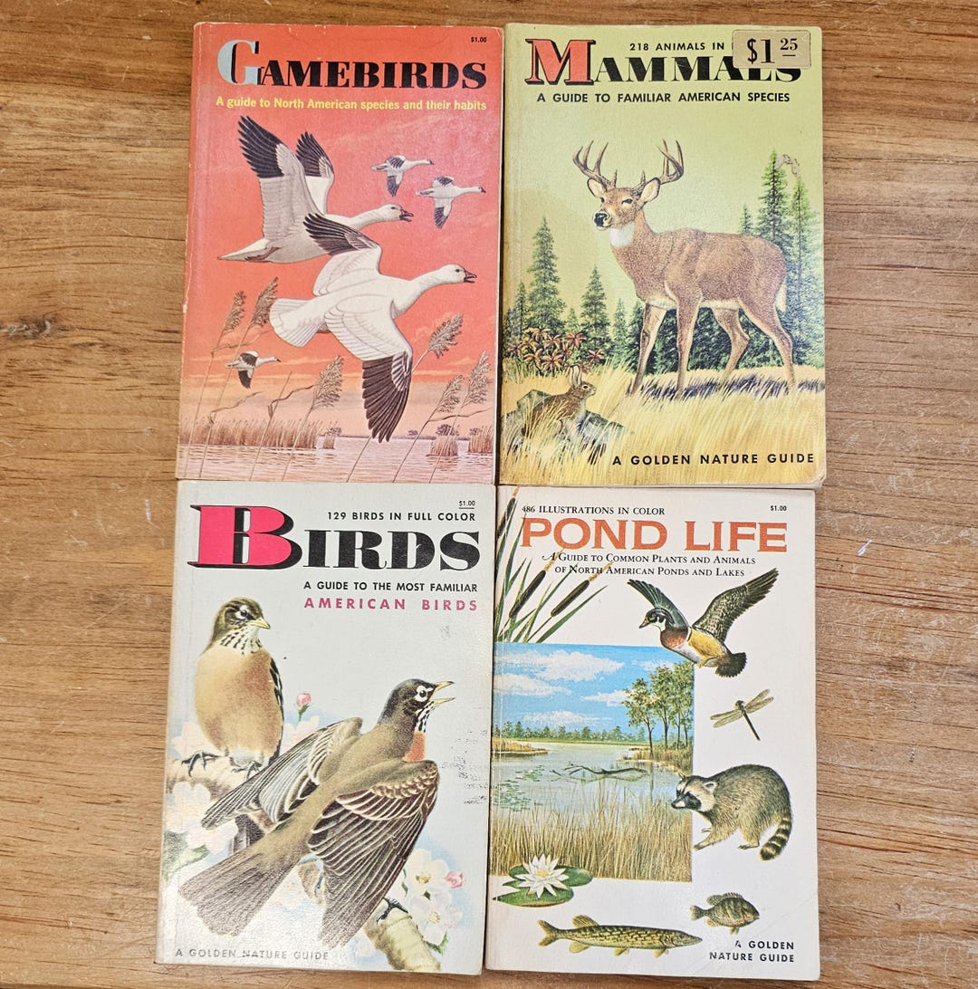 Old Nature Guide Paper Back Golden Nature Guides 1950s-60s Golden Press 4 Little Books ...