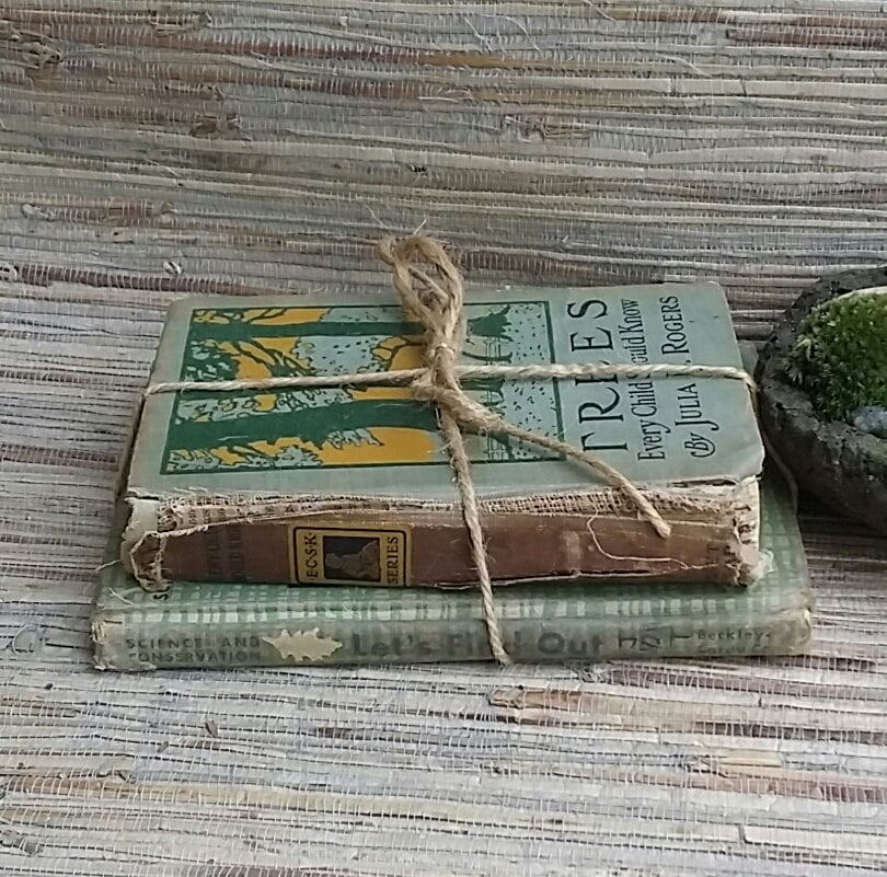 Vintage Book Stack Trees Every Child Should Know Let's Find Out Old