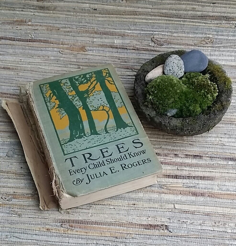 Vintage Book Stack Trees Every Child Should Know Let's Find Out Old ...