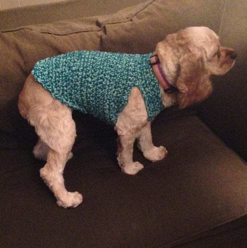 PATTERN for Crocheted Bulky Dog Sweater. Very Easy Pattern Etsy