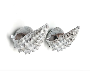 Pair of Vallauris Ceramic Seashell Wall Sconces, 1960s / French Vintage Lighting, Mediterranean Decor, Sea & Mermaid