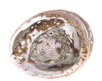 LARGE seashell : large Abalone mother of pearl, 1960s / ring dish, tray, jewelry display, boho chic, bohemian, folk bathroom