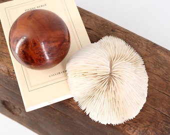 Vintage small white natural coral, cabinet of curiosities, 1970s / dish, display