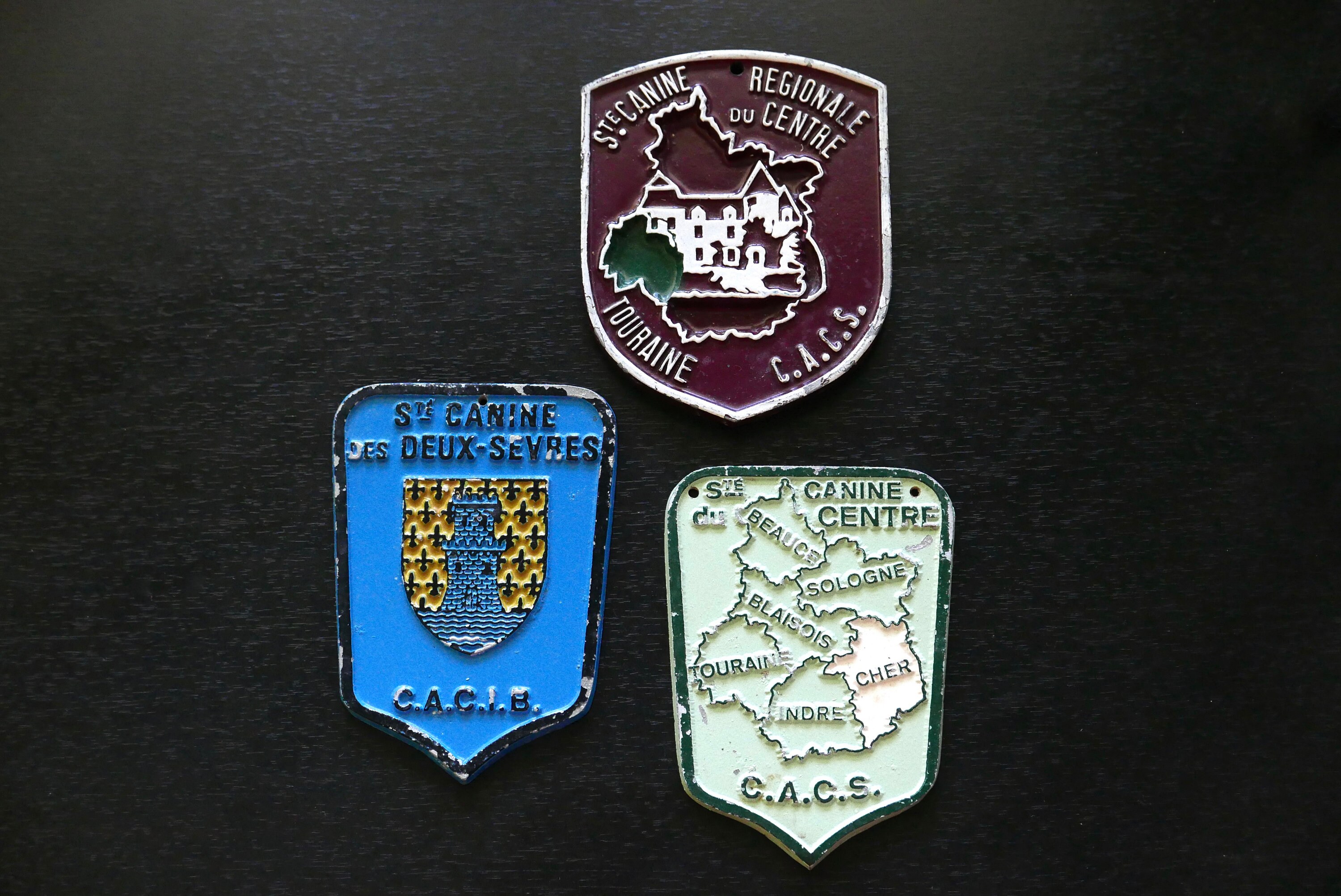 Set de 3 Plaques Compétition Canine en Aluminium/Shabby Chic Chien Vert Décoration Murale Décor Mura