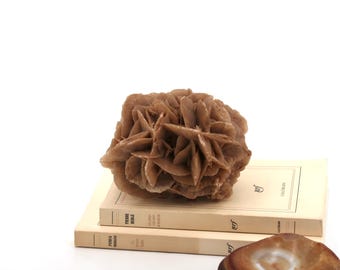 Natürliche Wüstenrose, 1970er Jahre / Skulptur, Briefbeschwerer, Mineralien, Inneneinrichtung, Kuriositätenkabinett