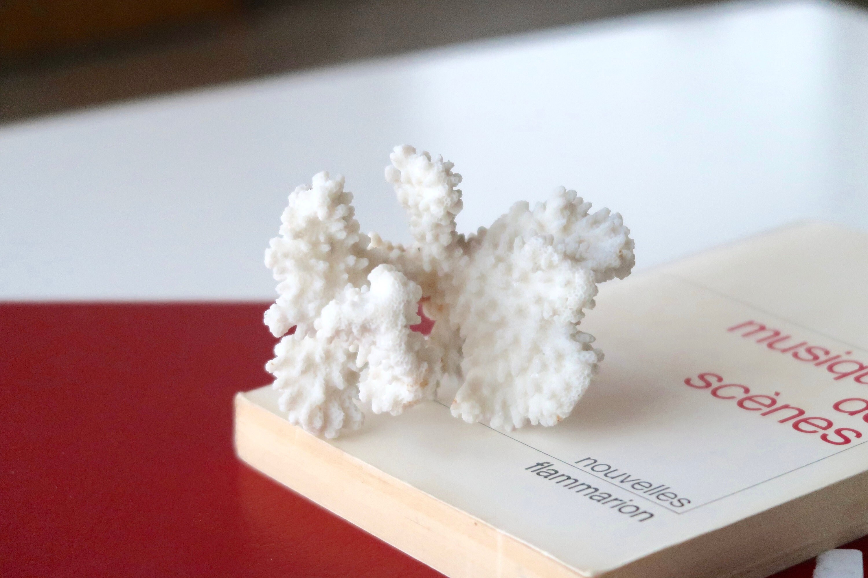 Ancienne Branche de Corail Blanc, Années 70/Sculpture, Cabinet Curiosités, Bohème Chic, Folk, Décor 