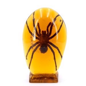 Resin sculpture with tarantula, 1970s / cabinet of curiosity, lucite, spider, inclusion, Pierre Giraudon, insect, paperweigth