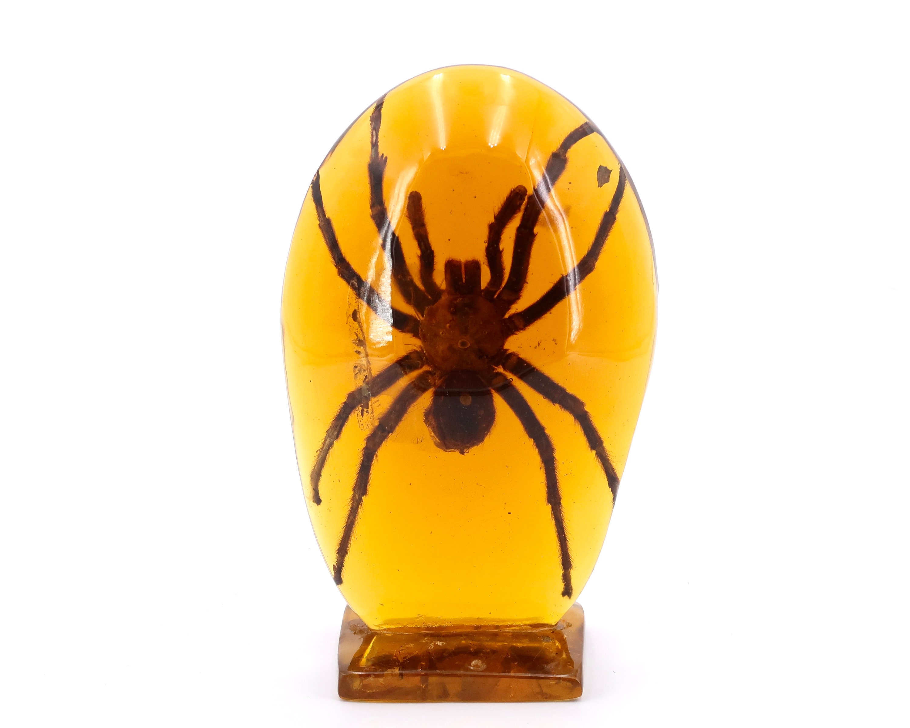 Resin sculpture with tarantula, 1970s / cabinet of curiosity, lucite, spider, inclusion, Pierre Giraudon, insect, paperweigth