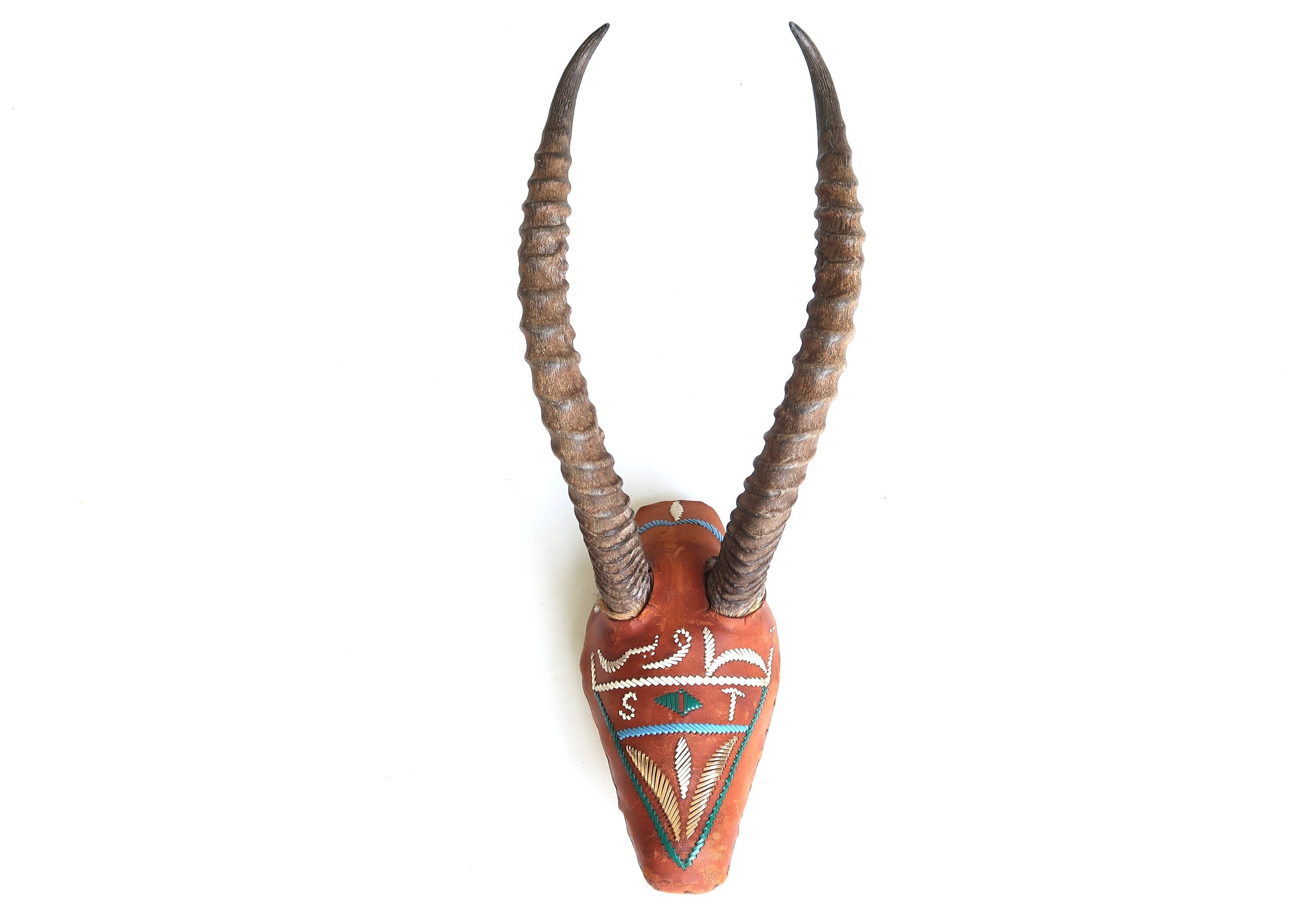 Paire De Cornes De Gazelle - Taxidermie Ancienne - Début XXème Siècle - Algérie