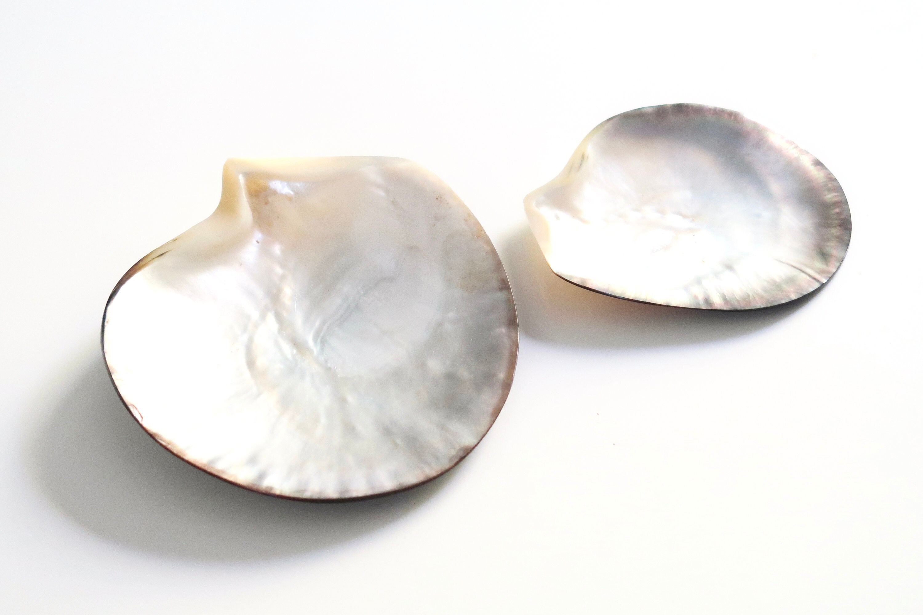 Deux Vide Poches en Nacre, Huîtres Perlières Polies, Années 70/Vintage Présentoir Bijoux Coupelle Bo