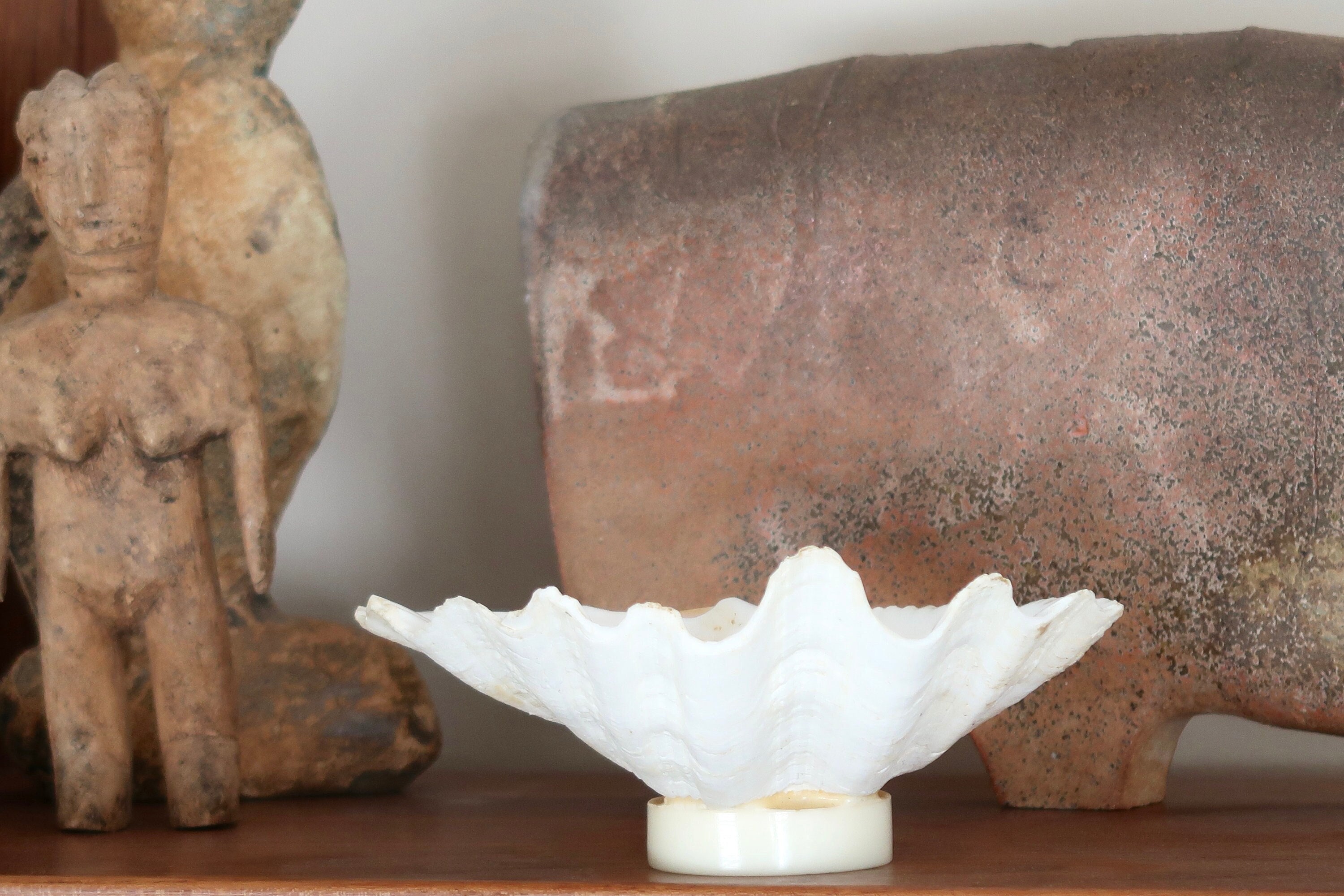 Coquillage Bénitier sur Socle en Résine, Vide Poche, Années 70/Cabinet Curiosités, Présentoir Bijoux