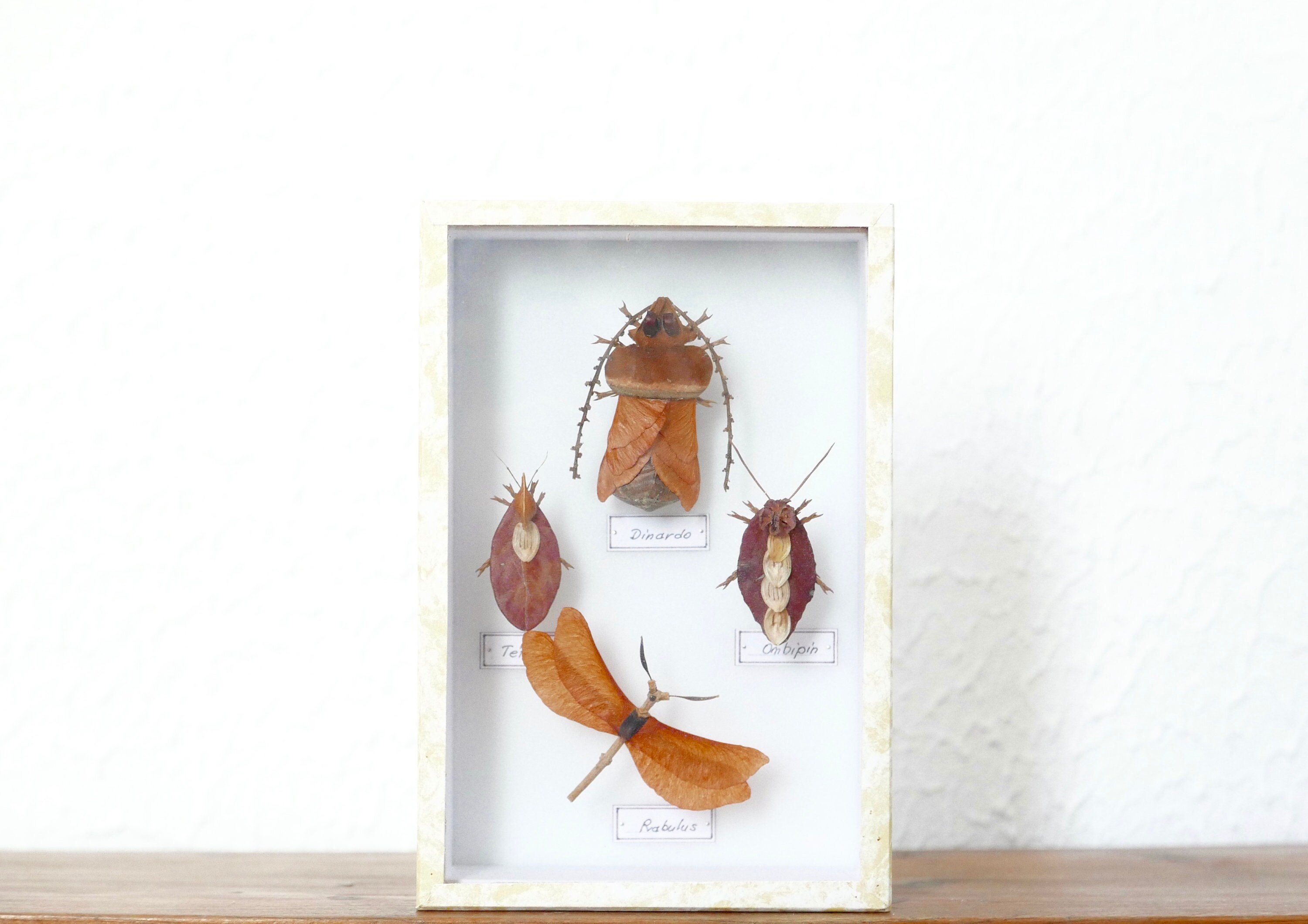 Vitrine Contenant Des Insectes Réalisés en Végétaux, Années 80/Spécimens, Taxidermie, Nature Cabinet