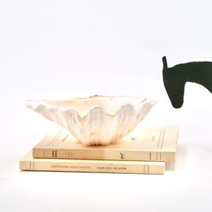 Pode incluir: Uma grande taça de concha estriada em tom esbranquiçado, pousada sobre dois livros bege empilhados. À direita dos livros, encontra-se uma estatueta de cavalo estilizada em verde escuro. O livro superior apresenta o texto "CONSOLATION PROVISOIRE" e "RENÉ DE CECCATTY".