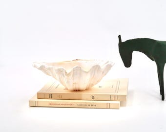 Vintage Tridacna Clam Shell, 1970s / Seashell, Ring Dish, Catchall, Coastal Decor, Curiosity Cabinet