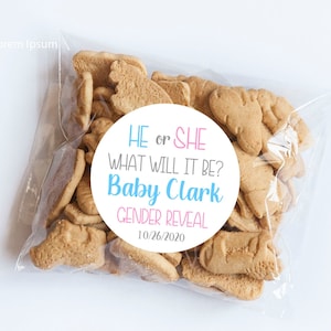 He of She What Will It Be-stickers, gender Reveal-labels, bedankstickers, babyshowerlabels, jongen of meisje, wat ben jij
