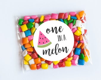 One in a Melon Stickers, Watermelon Theme, First Birthday, Melon Birthday, Melon Theme, 1st Birthday, Watermelon Favors, Sweet Birthday