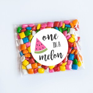 One in a Melon Stickers, Watermelon Theme, First Birthday, Melon Birthday, Melon Theme, 1st Birthday, Watermelon Favors, Sweet Birthday image 1