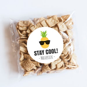 Piña Stay Cool Pegatinas, Cumpleaños de Verano, Tema de Piña, Dulce, Cumpleaños de Niña, Etiquetas de Frutas de Piña, Sellos de Sobre, Cumpleaños