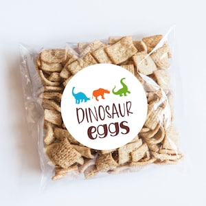 Pegatinas de huevos de dinosaurio, tema de dinosaurio, regalos de dinosaurio, pisando fuerte, etiquetas de dinosaurio, primer cumpleaños, etiquetas de bolsas de regalos, dinosaurio verde