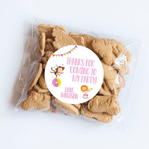 Roze circusstickers, eerste verjaardag, circusthema, circusstickers, circuslabels, circusverjaardag, babyshower, verjaardagsstickers, tags