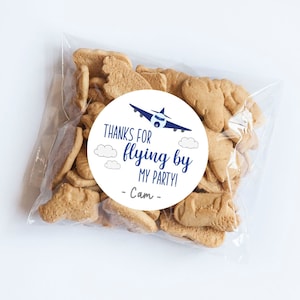 Airplane Stickers, Airplane Birthday, Planes, Airplane Theme, First Birthday, Plane Labels, Time Flies Theme, Airplane, Favors