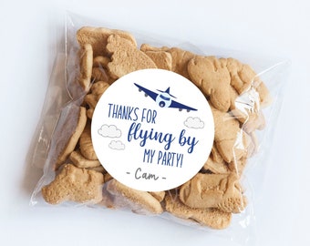 Airplane Stickers, Airplane Birthday, Planes, Airplane Theme, First Birthday, Plane Labels, Time Flies Theme, Airplane, Favors