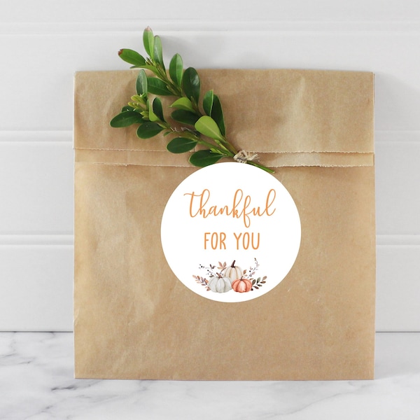 Thankful For You Pumpkin Stickers, Thanksgiving Labels, Thanksgiving Theme, Baking Stickers, Thanksgiving Tags, Favors, Fall Party