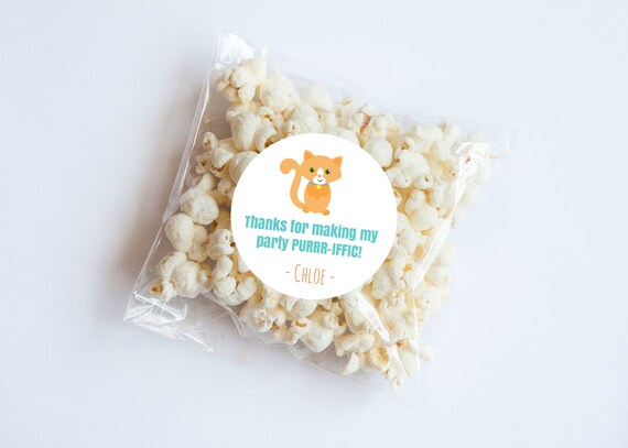 Orange Cat Stickers, Cat Labels, Thank You Labels, Cat Theme, Cat Birthday, Girl Birthday, Baby Shower, Tabby Cat, Cat Favors, Kitty Il_570xn