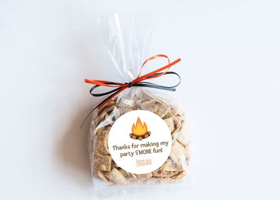 Camping S'mores Stickers, S'more Fun, Camping Theme, First Birthday, Tent Stickers, Camping Labels, Favors, Birthday Stickers, Outdoors Il_570xn