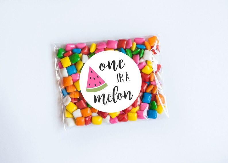 One in a Melon Stickers, Watermelon Theme, First Birthday, Melon Birthday, Melon Theme, 1st Birthday, Watermelon Favors, Sweet Birthday image 1