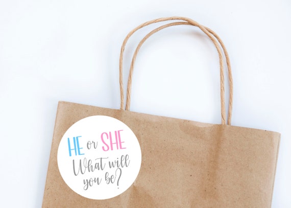 He or She Stickers, Gender Reveal, What Will It Be, Baby Shower, Gender Labels, Envelope Seals, Invite Stickers, Blue or Pink Il_570xn