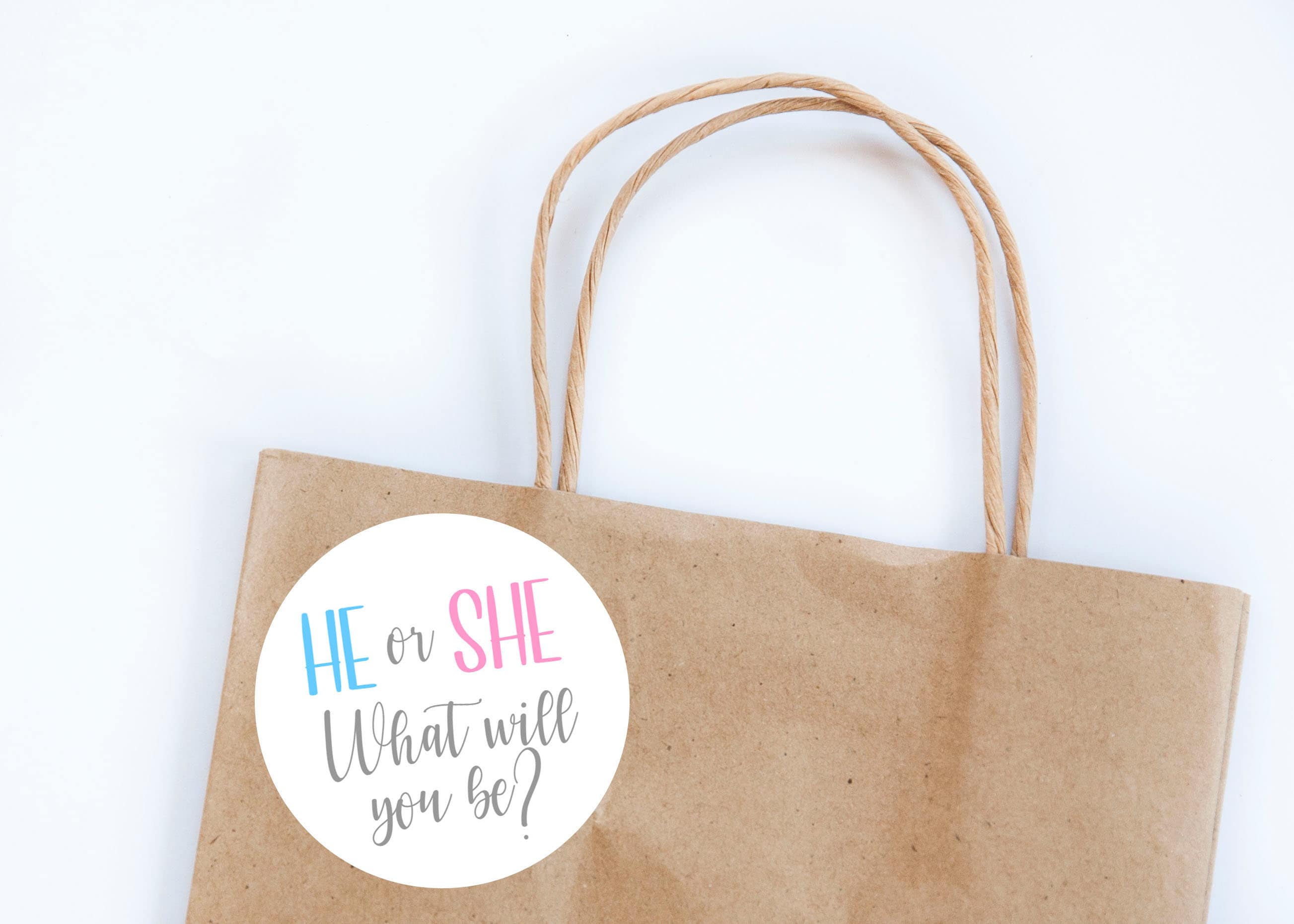 He or She Stickers Gender Reveal What Will It Be Baby | Etsy