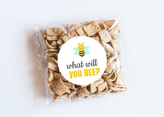 What Will You Bee Stickers, Baby Shower, Envelope Seals, Bee Theme, Bee Party, Gender Reveal, Gender Announcement, Favors, Honey Bee Il_570xn