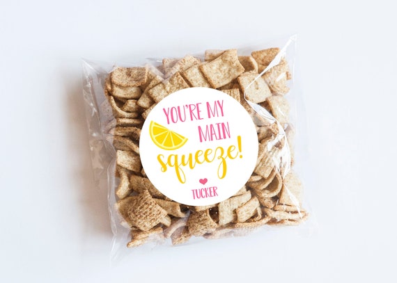 Main Squeeze Lemonade Valentine Stickers, Class Party, Lemonade Theme, Squeeze, Valentine's Tags, Valentine Labels, Valentine Favors, Tags Il_570xn