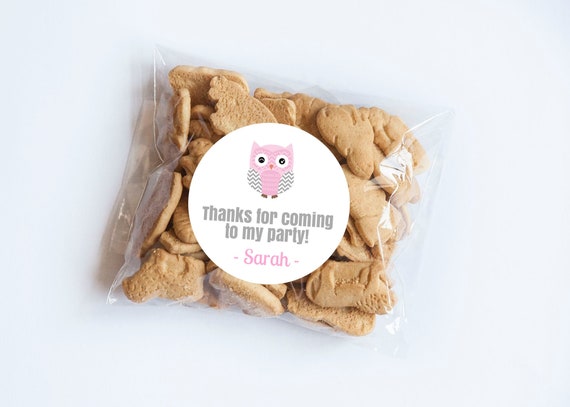 Owl Stickers, Pink Owl, It's a Girl, Owl Birthday, Baby Shower, Owl Theme, Woodland, Owl Party, Owl Favor Stickers, Owl Party Favor Tags Il_570xn